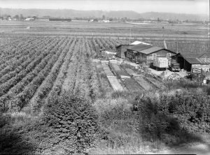Reedley, CA